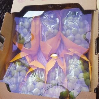 Nho Shine muscat Nhật Bản