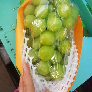 Nho Shine muscat Nhật Bản