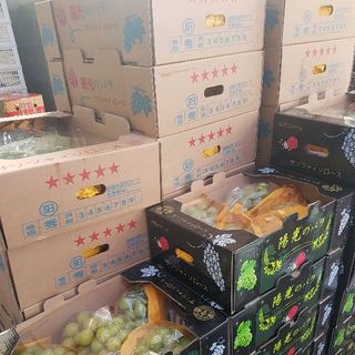 Nho Shine muscat Nhật Bản