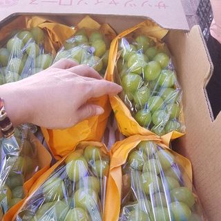 Nho Shine muscat Nhật Bản