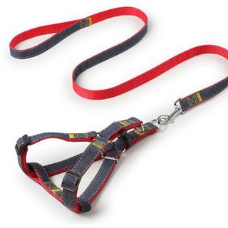 DÂY DẮT CHÓ DẠNG YẾM JEAN