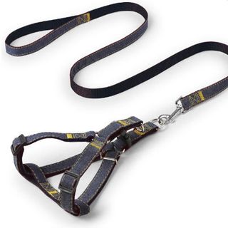 DÂY DẮT CHÓ DẠNG YẾM JEAN