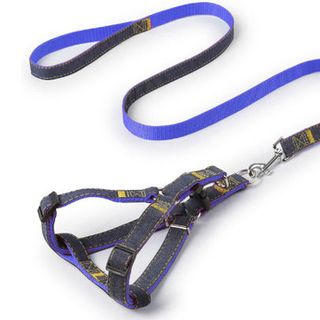 DÂY DẮT CHÓ DẠNG YẾM JEAN