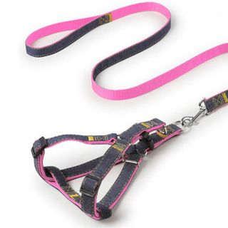 DÂY DẮT CHÓ DẠNG YẾM JEAN