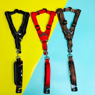 DÂY DẮT CHÓ LỚN - DÂY DẮT CHÓ ALASKA HUSKY BECGIE giá sỉ