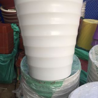 Chậu nhưa trắng vằn ngang to nhỏ
