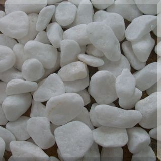 Sỏi trắng trang trí