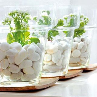 Sỏi trắng trang trí