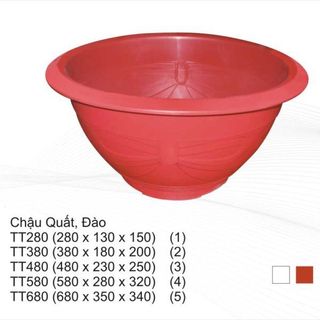 Chậu nhựa TT các cỡ
