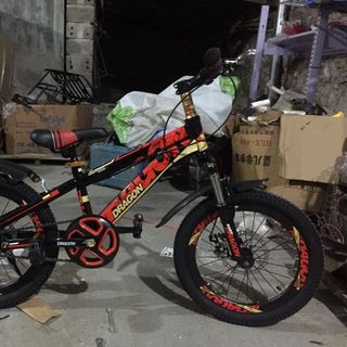 xe đạp dragon 01