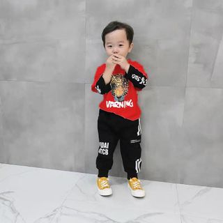 Bộ cọp dài tay bé trai giá sỉ tphcm