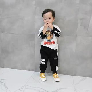 Bộ cọp dài tay bé trai giá sỉ tphcm