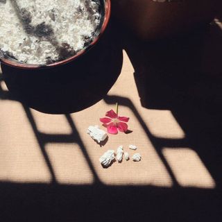 Bột sắn dây
