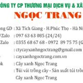 Sỏi màu trang trí