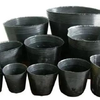 Túi bầu ươm cây PE đáy tròn