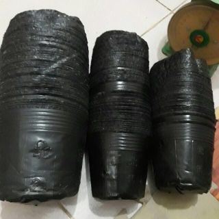 Túi bầu ươm cây PE đáy tròn