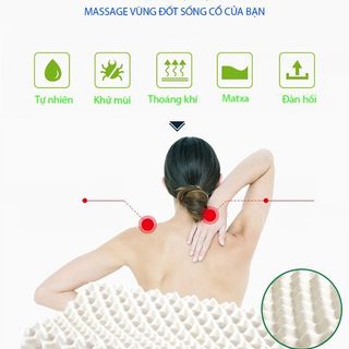 gối cao su non thái lan ventry