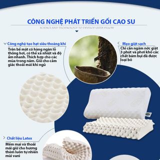 gối cao su non thái lan ventry
