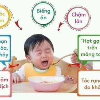 CỬU HẠT DINH DƯỠNG X2 MINHLADY BEAUTY