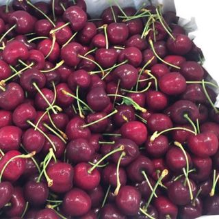 CÂY CHERRY