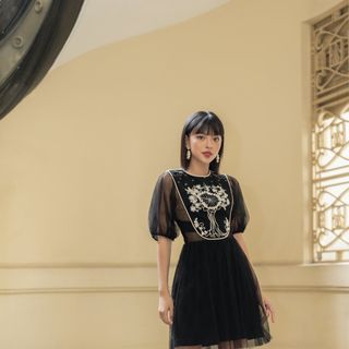 Đầm Dự Tiệc Ren Lưới