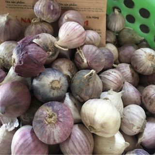 Chuyên sỉ tỏi cô đơn