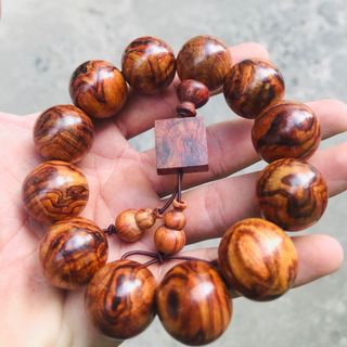 SIÊU PHẨM - SƯA BẮC TÂM HOA MẮT QUỶ