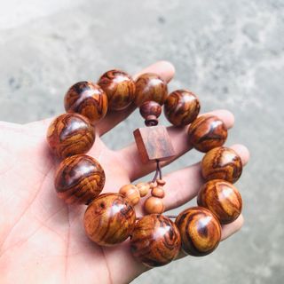 SIÊU PHẨM - SƯA BẮC TÂM HOA MẮT QUỶ