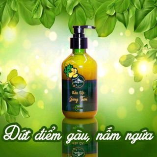 Dầu gội trị rụng tóc Nàng Ơi mua 1 tặng 1