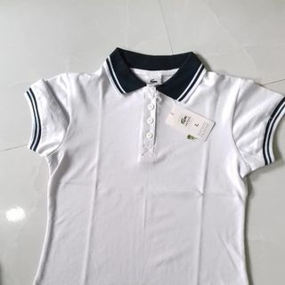 ÁO THUN CÁ SẤU TRẺ TRUNG NĂNG ĐỘNG - Giá sỉ bán buôn