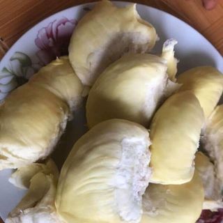 sầu dona
