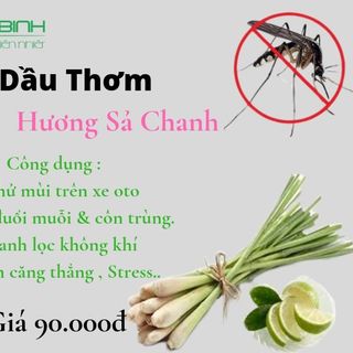 Tinh Dầu Thơm Treo giá sỉ