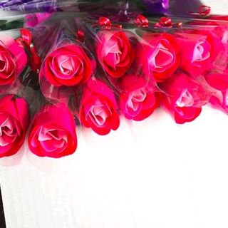 Hoa hồng sáp thơm nguyên cây có nhiều màu