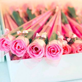 Hoa hồng sáp thơm nguyên cây có nhiều màu