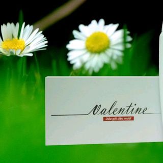 dầu gội siêu mượt valentine