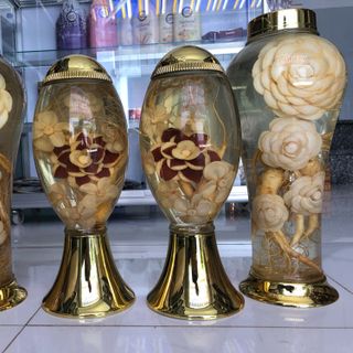 Sâm hàn quốc 6 năm tuổi 10 củ 1kg