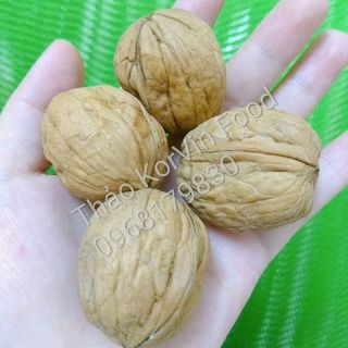 óc chó Chandler Mỹ chính ngạch