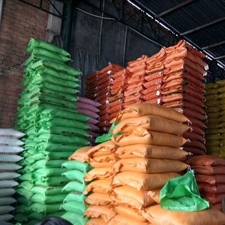 GẠO SỈ VÀ LẺ THIÊN PHÚ