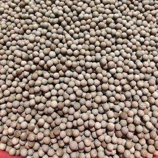 nhân sản xuất gia công độc quyền thuốc chữa tiểu đường