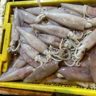 Cua nam can ca mau