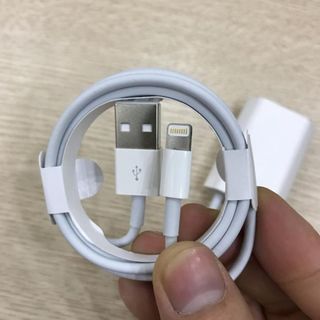 Cable Apple iPhone Zin