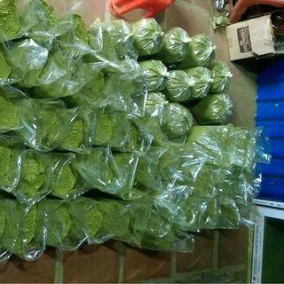 Bột Trà Xanh, Sỉ bột trà xanh, bột trà xanh nguyên chất giá sỉ