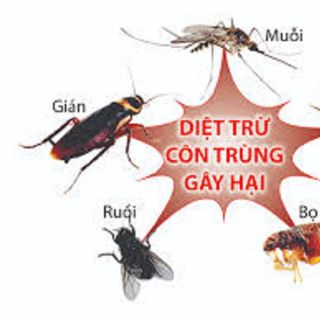 Thuốc phun sinh học muỗi ruồi gián kiến côn trùng hiệu quả an toàn cho gia đình - Tâm An