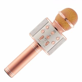 MIC KARAOKE WS-858 5IN1 KÈM LOA