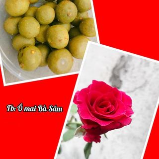 Ô mai Sấu giòn - ngon 500g