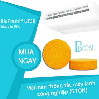 Viên nén thông tắc máy lạnh - BioFresh UT3B - 22902004