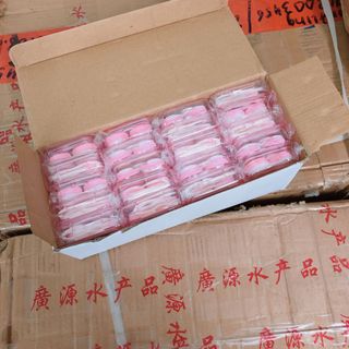 Khay đựng lens Khay gương mini