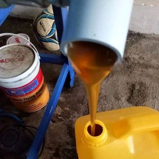 Mật ong hoa cà phê nguyên chất