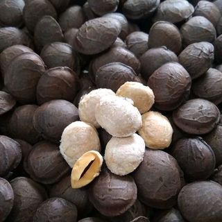 Nhân hạt sachi sấy khô ăn liền 1kg