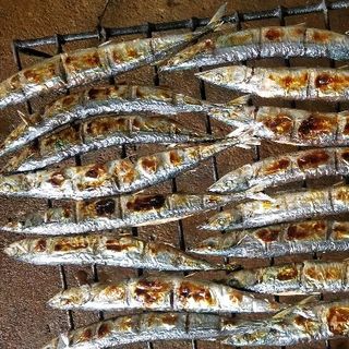 CÁ THU BÔNGThu Nhậtcá Kìm